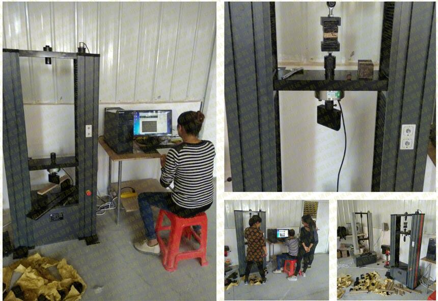 �����K������������f��ԇ�(y��n)�C(j��)�͑��F(xi��n)���D